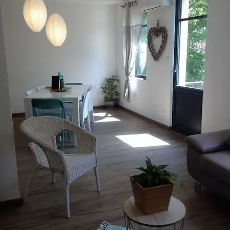 Au Vieux Lavoir Avec Parking Prive, Jardin , Climatisation, A 500 M De La Cite Carcassonne Exterior photo