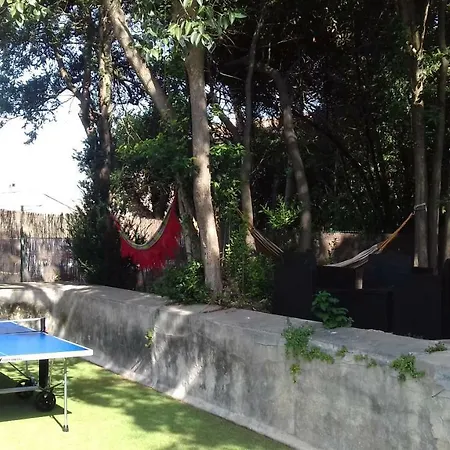 Au Vieux Lavoir Avec Parking Prive, Jardin , Climatisation, A 500 M De La Cite Carcassonne Exterior photo