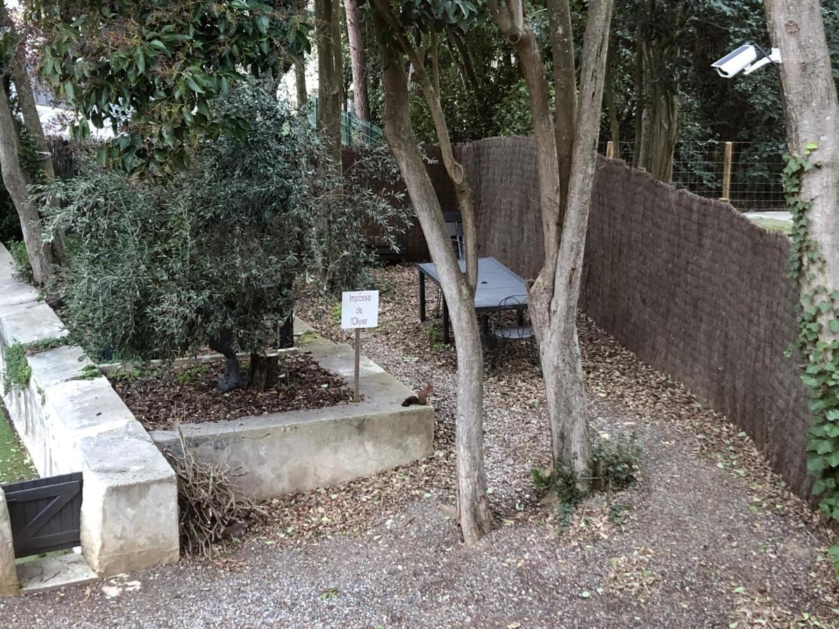 Apartment Au Vieux Lavoir Avec Parking Prive, Jardin , Climatisation, A 500 M De La Cite