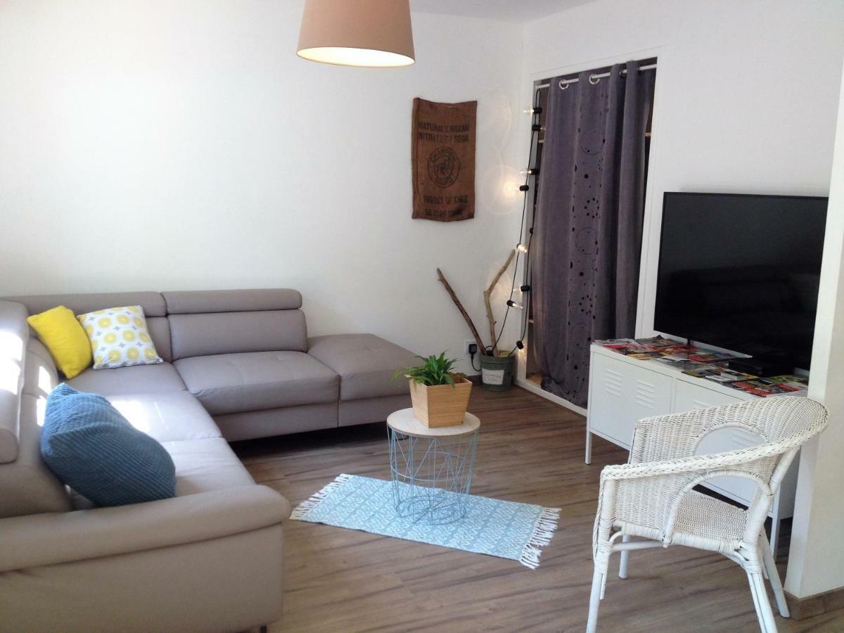 Au Vieux Lavoir Avec Parking Prive, Jardin , Climatisation, A 500 M De La Cite * Carcassonne