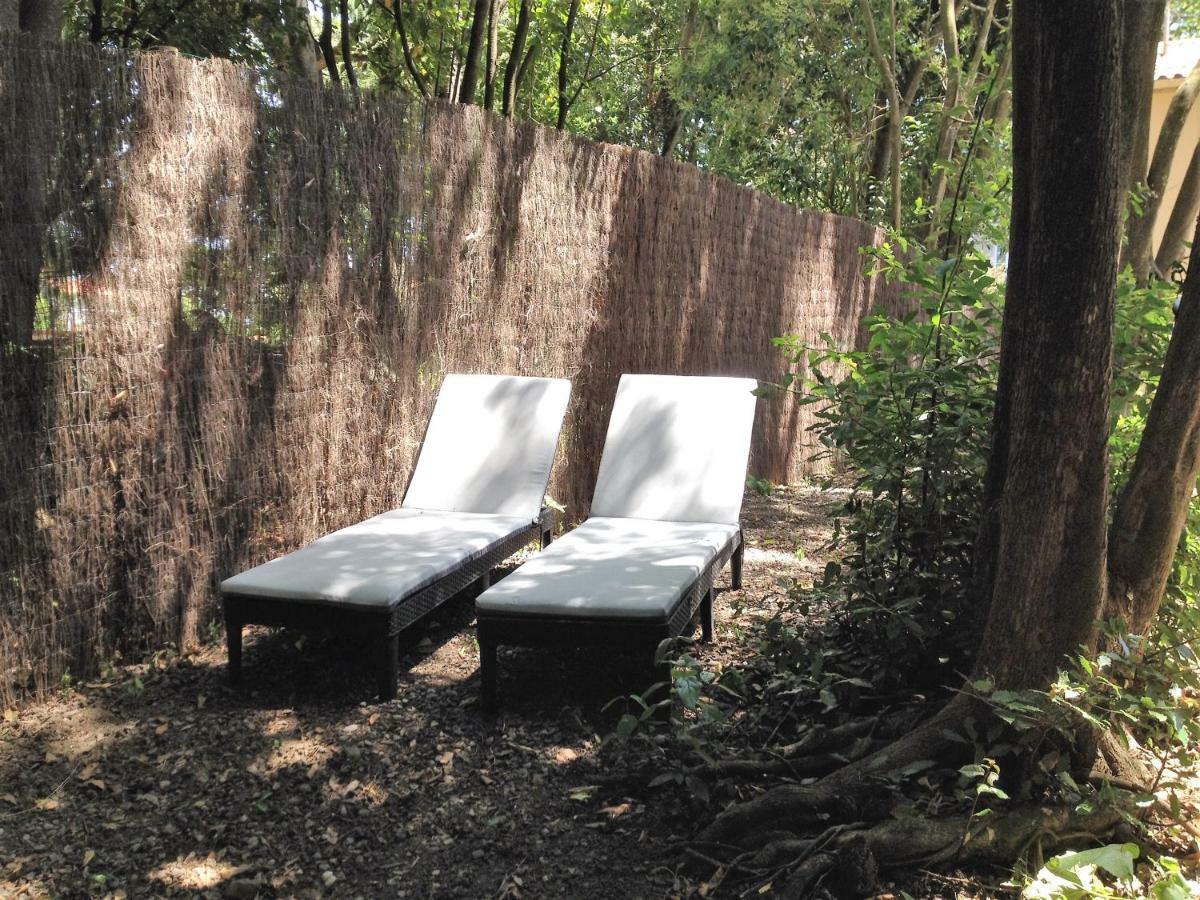 Au Vieux Lavoir Appartement Carcassonne