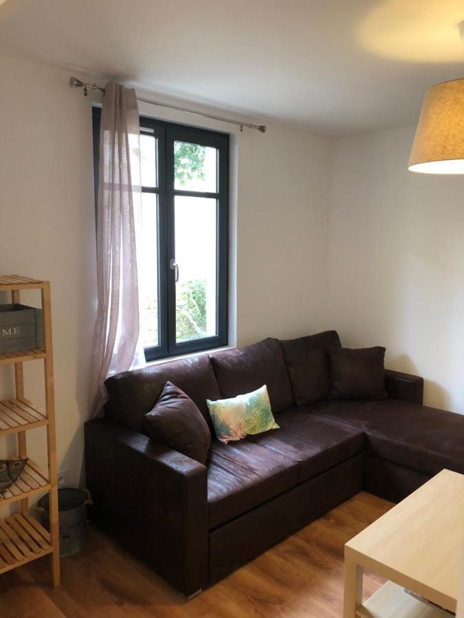 Apartment Au Vieux Lavoir Avec Parking Prive, Jardin , Climatisation, A 500 M De La Cite Carcassonne