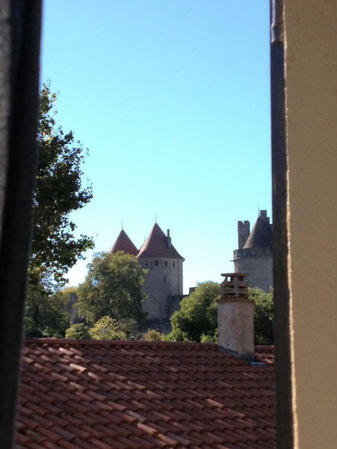 Au Vieux Lavoir Avec Parking Prive, Jardin , Climatisation, A 500 M De La Cite Appartement Carcassonne
